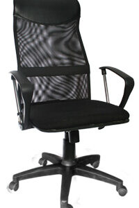 kursi direktur jaring