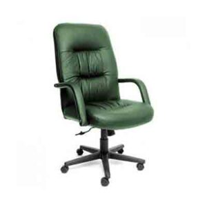 Kursi Kantor Pegasus Darius